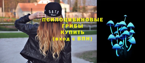 прущие крисы Алзамай