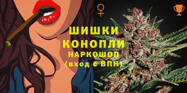 прущие крисы Алзамай