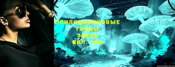 прущие крисы Алзамай
