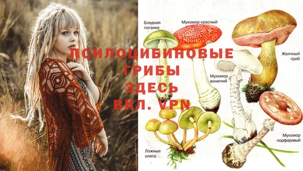прущий лед Алексеевка